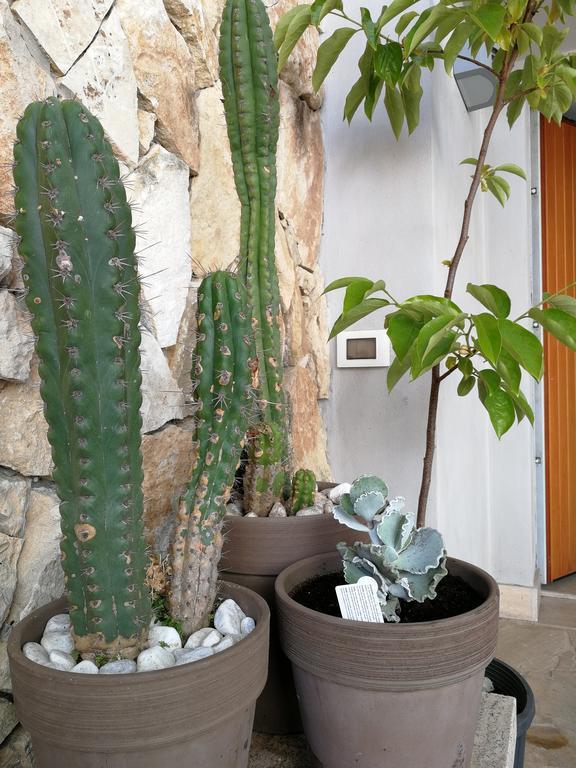 Il Giardino Dei Limoni Bed and Breakfast Aci Castello Εξωτερικό φωτογραφία